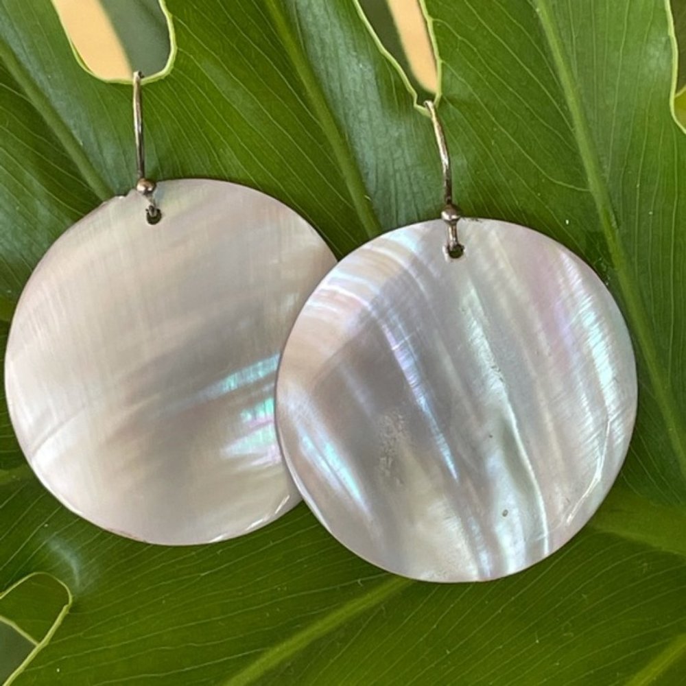 Shell Disk Earrings - image 1